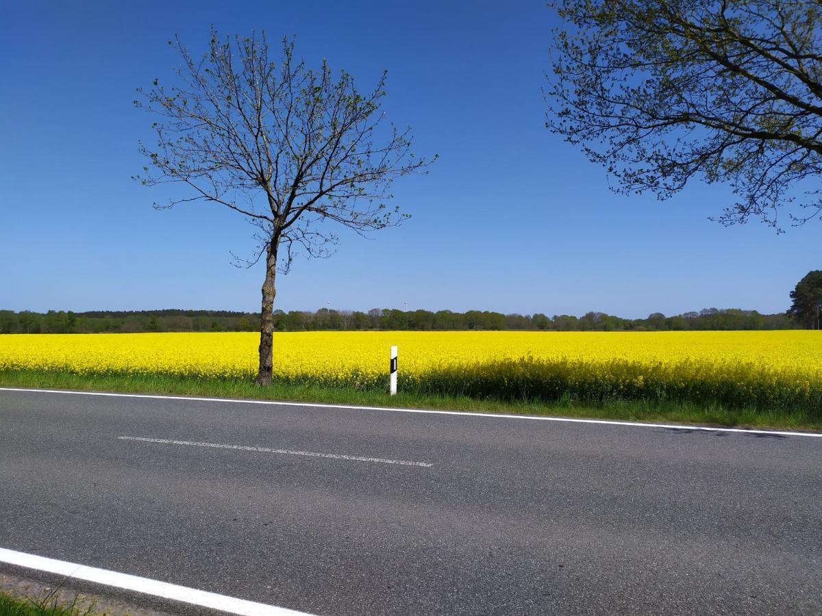 Gaestehaus Hoelting Lubberstedt エクステリア 写真